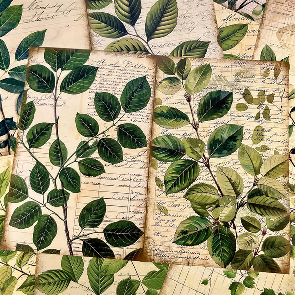 10PCS Plant green leaf background paper