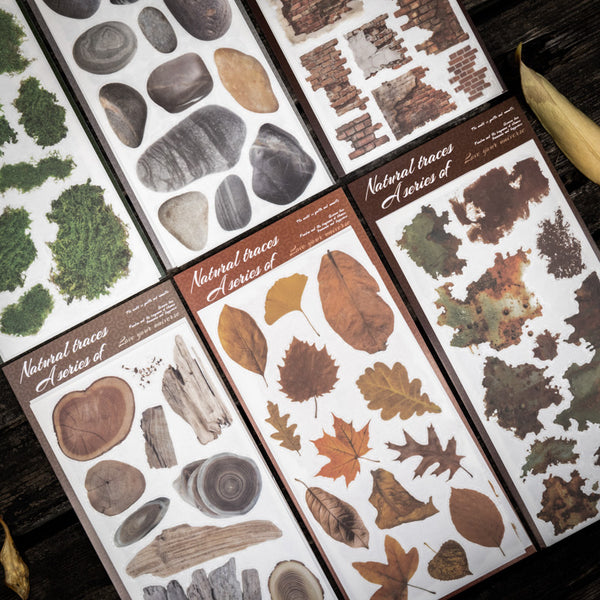 2PCS Natural Traces Series PVC Transfer Sticker