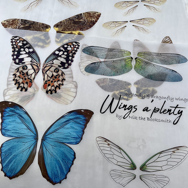 2PCS Butterfly wing background paper