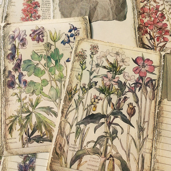 10PCS Vintage floral plant material paper