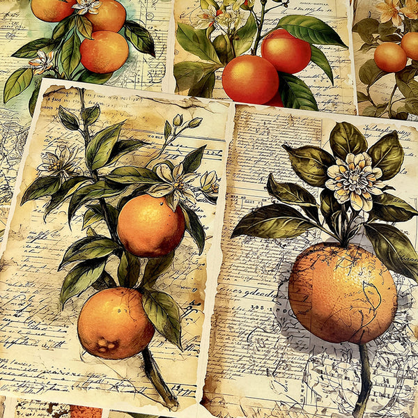 10PCS Vintage orange tree background paper