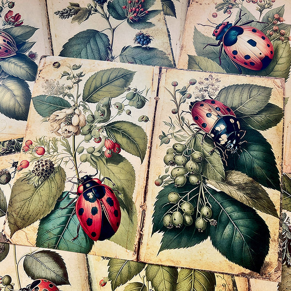 10PCS Plant ladybug background paper