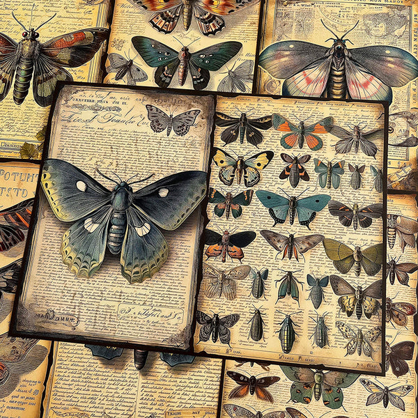 10PCS Vintage butterfly background paper