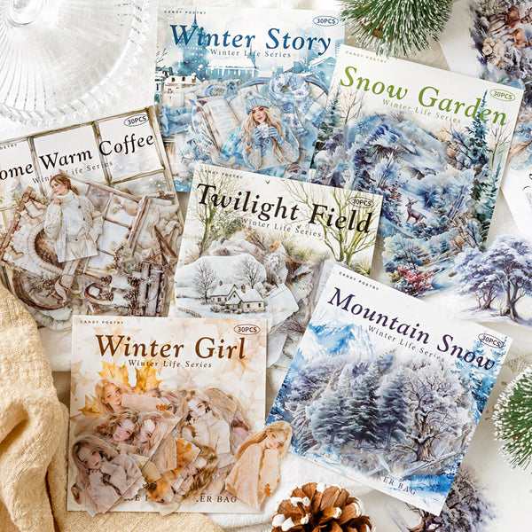 30PCS Winter Life Series sticker