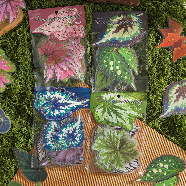 20PCS Natural Dyed series sticker