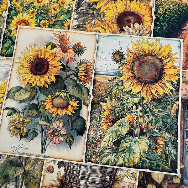10PCS Garden sunflower background paper