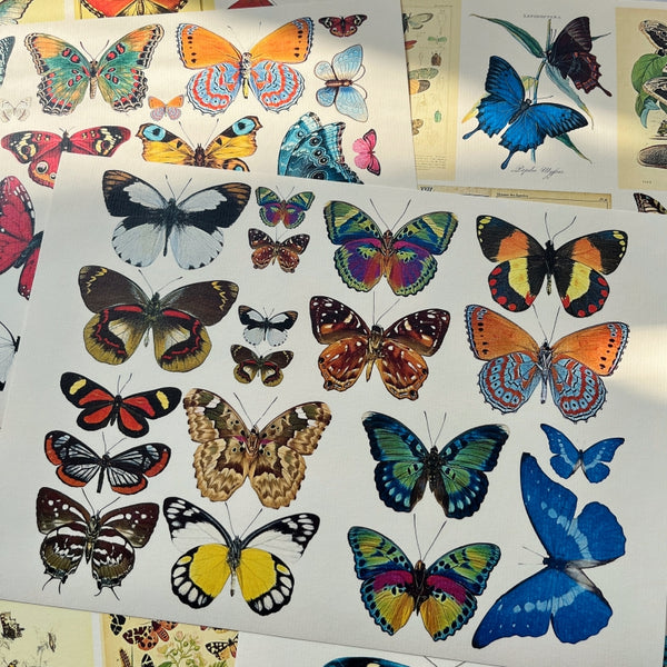 4PCS Vintage butterfly plant background paper