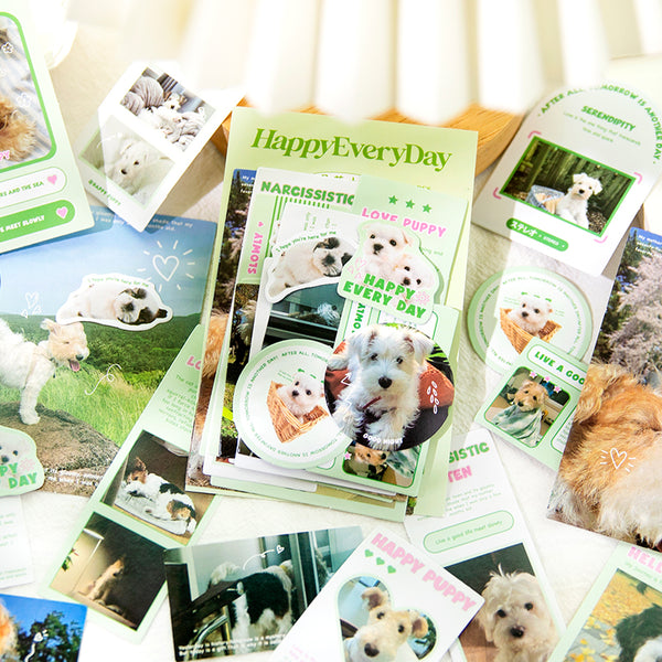 40PCS Pet Holiday Series sticker
