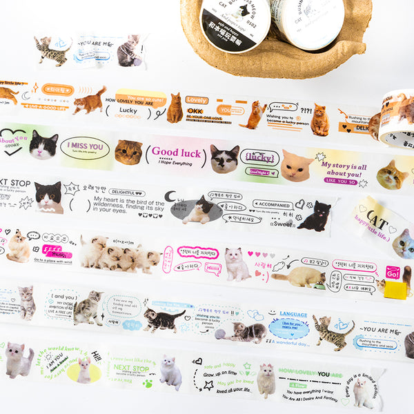 Today's meow series Washi Tape