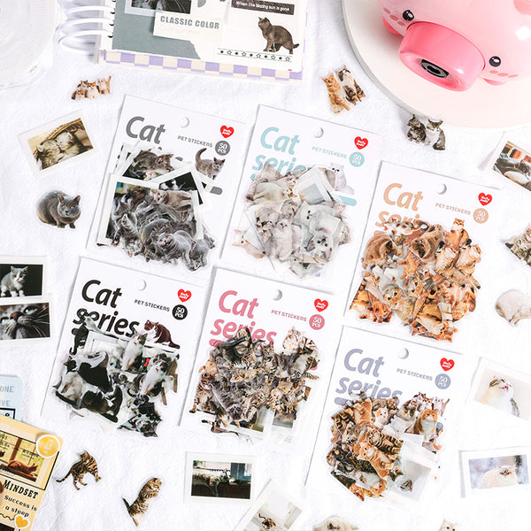 50PCS The spirit of all things cat series sticker