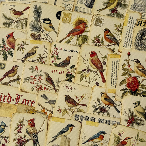 4PCS Retro bird plants background paper