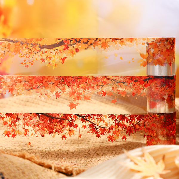 Autumn's Arrival Series PET Tape