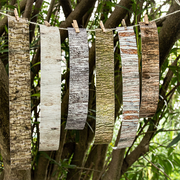 The lines in the forest series Washi Tape