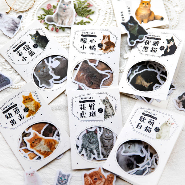30PCS Cat Action Series sticker