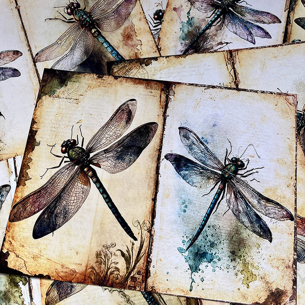 12PCS Dragonfly background paper