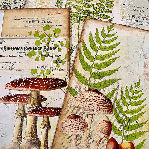 8PCS Mushroom plant background paper