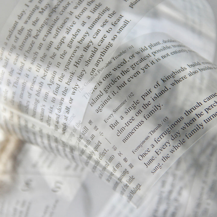 Tapes Paragraph Whole Roll 5cm*5m Article paragraph PET Tape – LBLYXIR