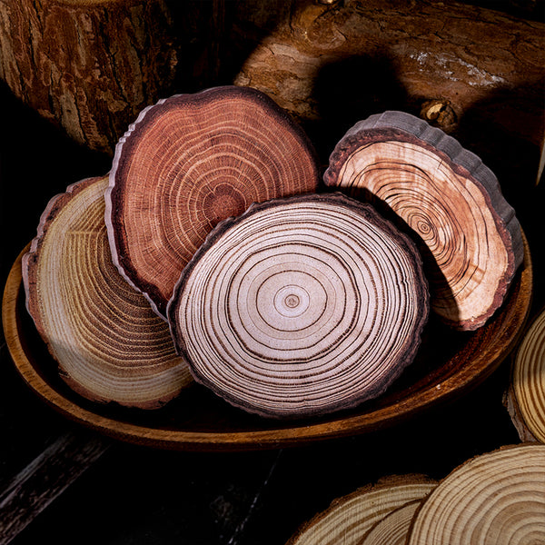 60PCS The story of tree ring series note paper