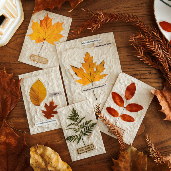 37PCS Observations on Fallen leaves Series material paper set