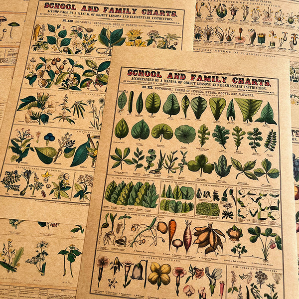 6PCS Vintage journal plant background paper