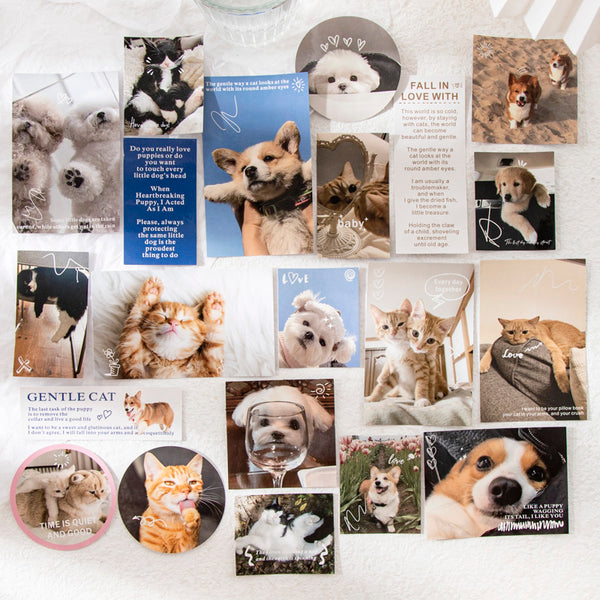 40PCS Love pet secret series sticker