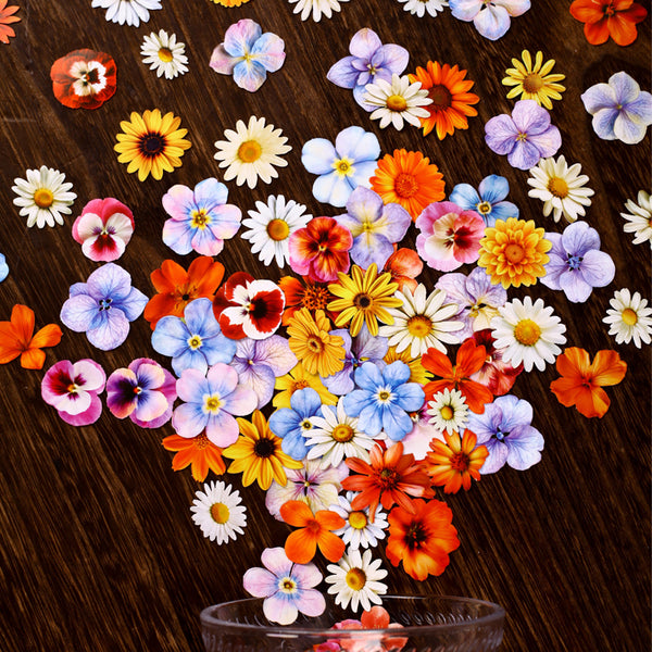 25PCS Duoduo series sticker