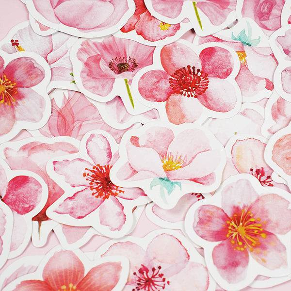 46 قطع المشمش ناي الوردي ساكورا سلسلة ملصق
