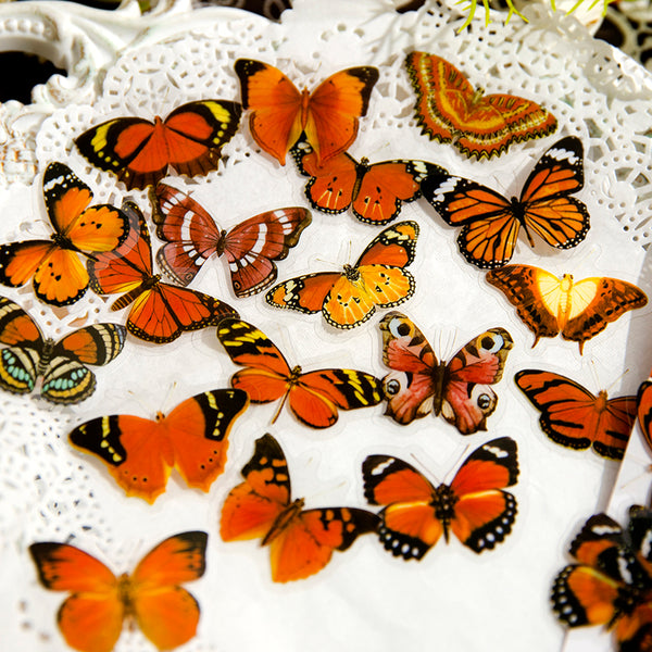 45 STÜCKE Schmetterlings-Probensammlungs-Serienaufkleber
