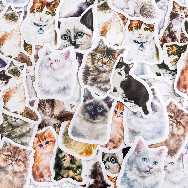 Kitty Diaries Serie sticker